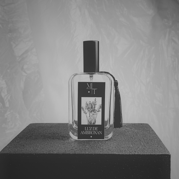 PERFUME LUZ DE AMBROXAN 100ML